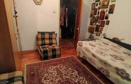 Apartament de 2 camere, zona linistita Campia Libertatii