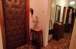 Apartament de 2 camere, zona linistita Campia Libertatii