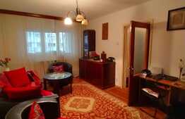 Apartament de 2 camere, zona linistita Campia Libertatii