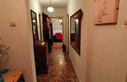 Apartament de 2 camere, zona linistita Campia Libertatii