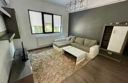 Apartament 2 camere, 55 mp, Calea Grivitei