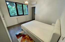 Apartament 2 camere, 55 mp, Calea Grivitei