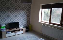 Apartament interbelic 3 camere, 100 mp, Ultracentral - Unirii
