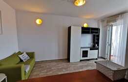 Garsonieră luminoasă, priveliște minunată, zona Turda - Ion Mihalache