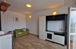 Garsonieră luminoasă, priveliște minunată, zona Turda - Ion Mihalache