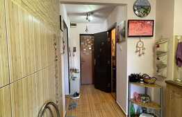 Apartament 3 camere, 71 mp, etaj intermediar, Colentina Margineni