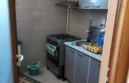 Apartament de 2 camere, etaj intermediar, zona Damaroaia