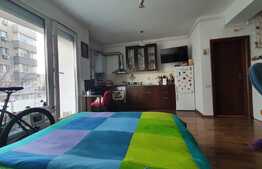 Studio, 28mp, zona Banu Manta