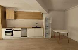 Apartament de 2 camere, 51 mp, cartierul Armenesc 