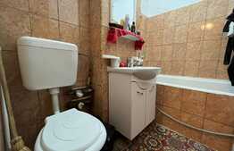 Garsoniera ideala pentru investitie, zona 1 Decembrie 1918