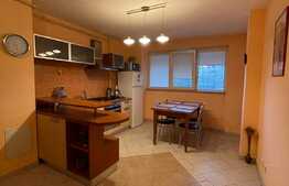 Apartament 2 camere spatios, 58 mp, in zona 13 Septembrie 