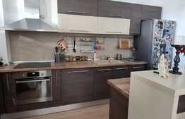 Apartament modern, 2 camere, 60mp, terasa 24mp, zona Damaroaia
