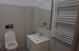 Apartament cu 2 camere, tip studio, Bucurestii noi