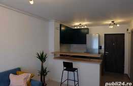 Apartament cu 2 camere, tip studio, Bucurestii noi