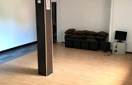 Casa la pret de apartament, Stefan cel Mare, curte proprie