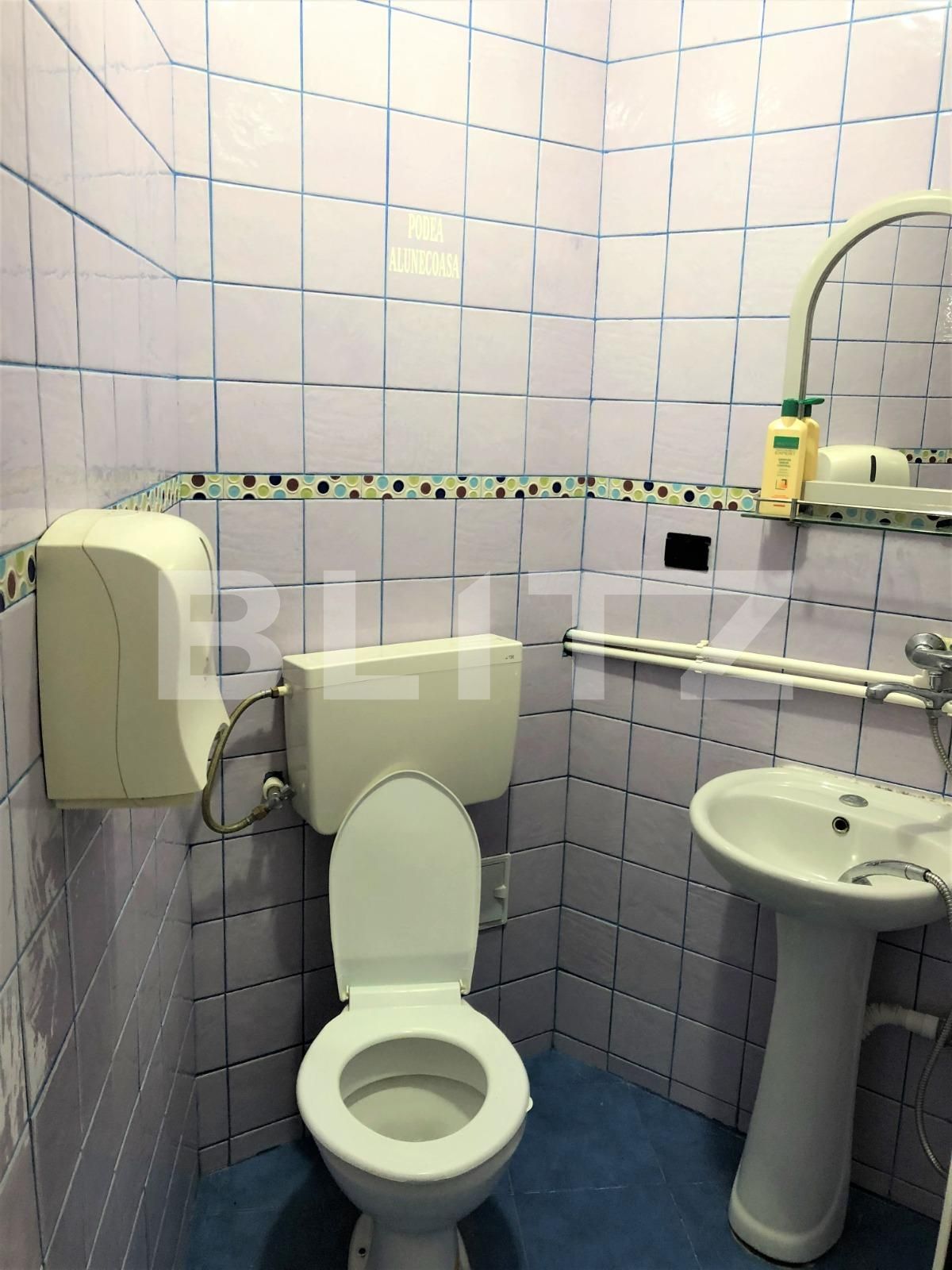 Casa de vânzare 5 camere Stefan cel Mare - 85256CV | BLITZ București | Poza13