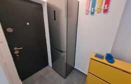 Apartamente de 2 camere finisat in apropiere de parcul teilor!