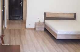 Garsoniera spatioasa, 35 mp, zona Piața Minis