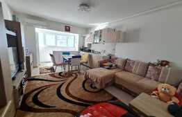 Apartament de 2 camere cu potential. Zona Nicolae Teclu.