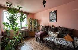 Oportunitate investitie! Garsoniera, 30 mp, 5 minute de metrou Titan