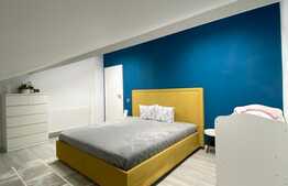 Apartament tip duplex de 4 camere, mobilat lux, parcare si boxa zona Jiului