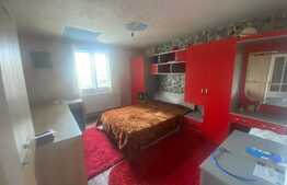 Casa individuala, 340 mp, D+P+1, zona Tineretului