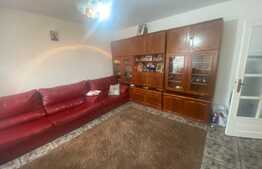 Casa individuala, 340 mp, D+P+1, zona Tineretului