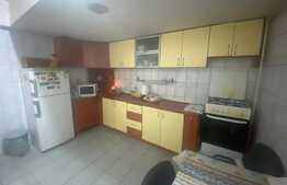 Casa individuala, 340 mp, D+P+1, zona Tineretului