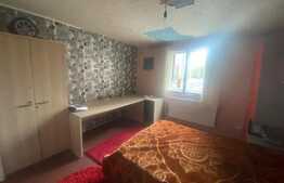 Casa individuala, 340 mp, D+P+1, zona Tineretului