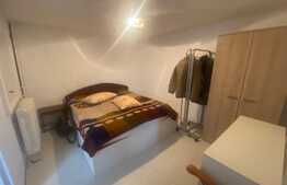 Casa individuala, 340 mp, D+P+1, zona Tineretului