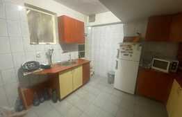 Casa individuala, 340 mp, D+P+1, zona Tineretului