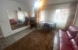 Casa individuala, 340 mp, D+P+1, zona Tineretului