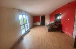 Casa individuala, 340 mp, D+P+1, zona Tineretului