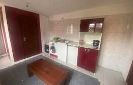 Casa individuala, 340 mp, D+P+1, zona Tineretului