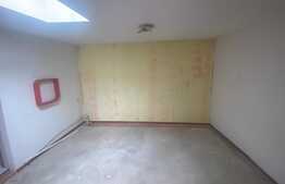 Casa individuala, 340 mp, D+P+1, zona Tineretului