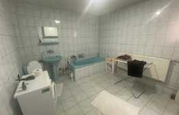 Casa individuala, 340 mp, D+P+1, zona Tineretului