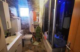 Apartament 2 camere, 73 mp, 160 mp curte, Rosetti 