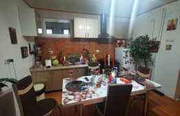 Apartament 2 camere, 73 mp, 160 mp curte, Rosetti 