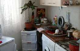 Casa de vanzare, 45 mp, curte comuna, zona Titulescu