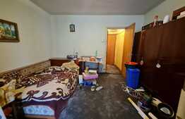 Garsoniera renovabila in zona Costin Georgian. 3 minute de metrou!