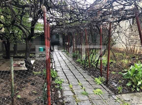 Casa de vânzare 5 camere Bucurestii Noi - 85584CV | BLITZ București | Poza5