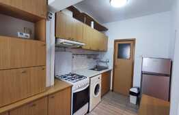 Garsonieră 23 mp, centrală proprie, curte, boxă, zona 1 Mai