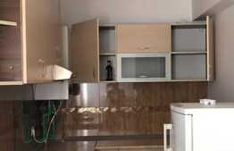 Garsoniera, 47 mp, zona Damaroaia