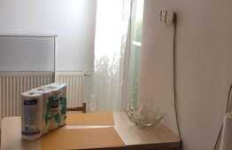 Garsoniera, 47 mp, zona Damaroaia