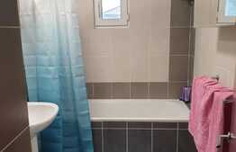 Apartament 2 camere, 49 mp, complet mobilat, zona Baneasa 