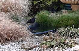 Prague, For sale family house 320 m², land 1 567 m²