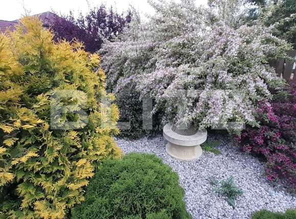 Casa de vânzare 7 camere Ultracentral - 86120CV | BLITZ București | Poza18