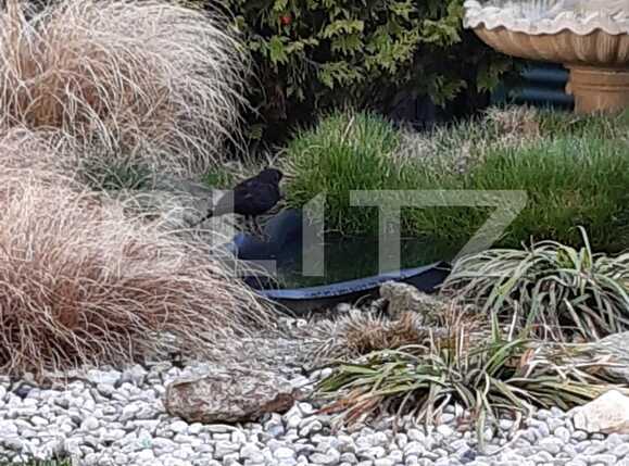 Casa de vânzare 7 camere Ultracentral - 86120CV | BLITZ București | Poza17