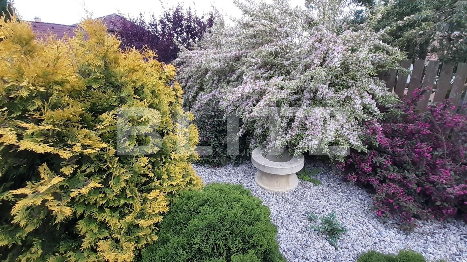 Casa de vânzare 7 camere Ultracentral - 86120CV | BLITZ București | Poza18