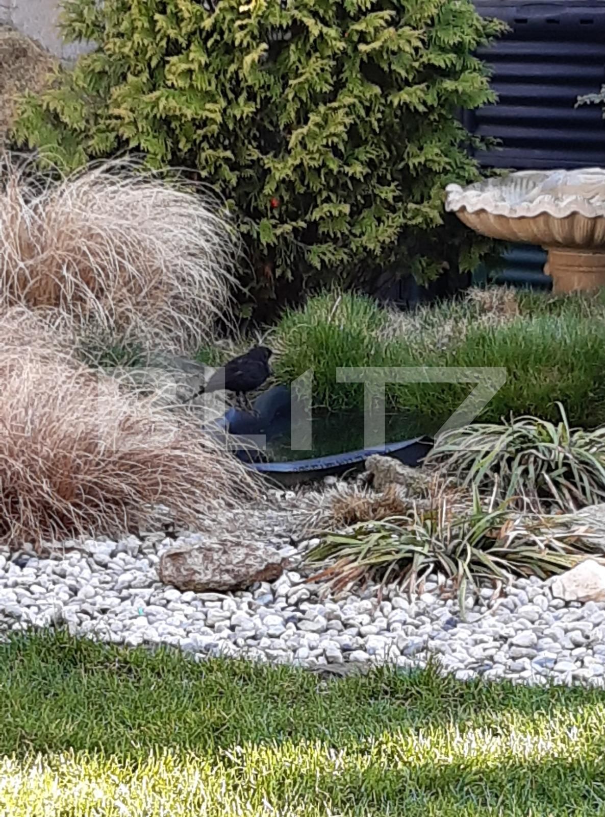 Casa de vânzare 7 camere Ultracentral - 86120CV | BLITZ București | Poza17